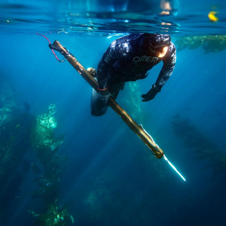 Spearguns