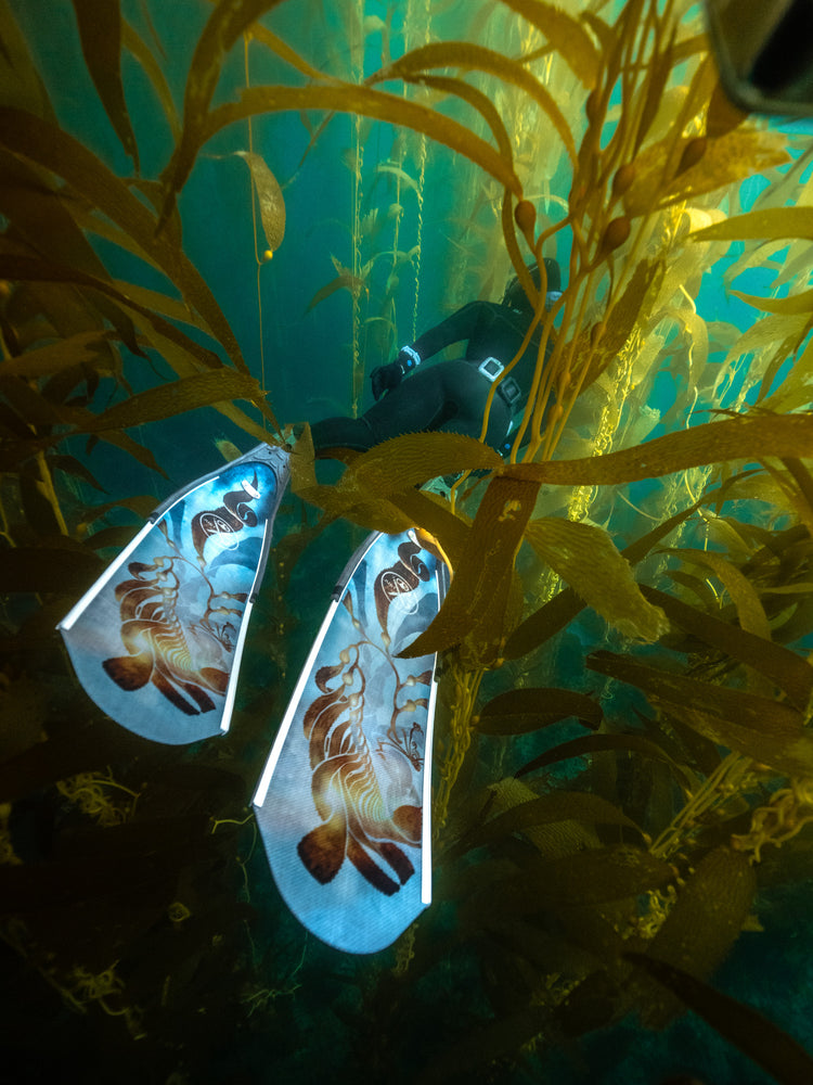 Freediving Hub