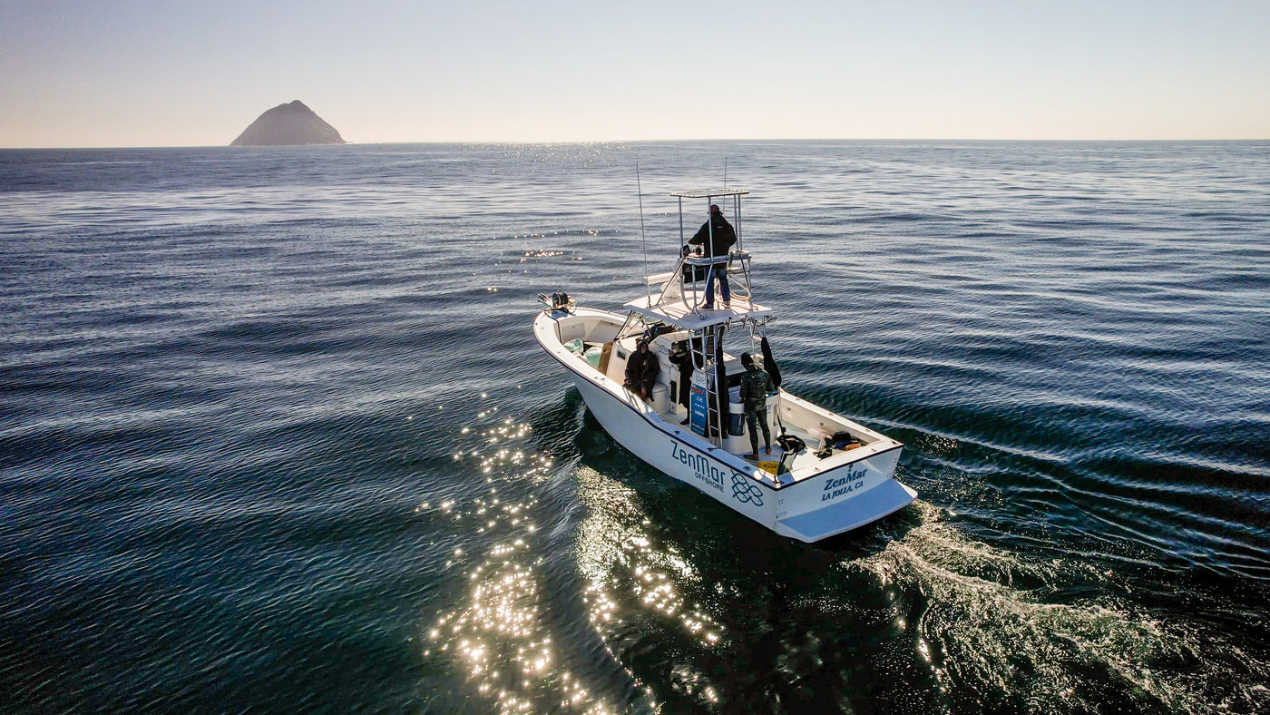 Coronado Islands Spearfishing Charter