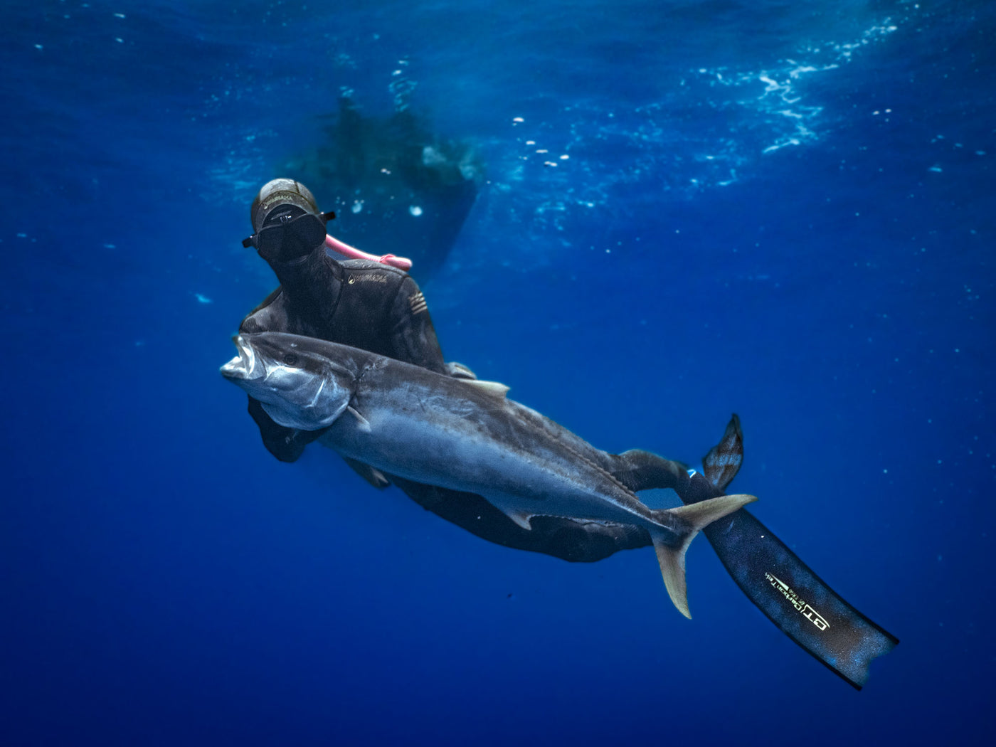Beginner Freediving and Spearfishing Combo Course
