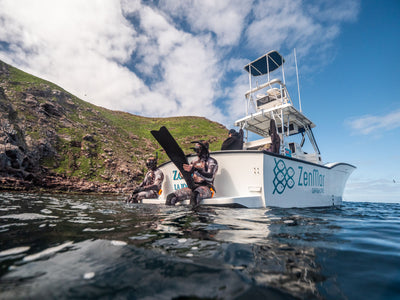 Coronado Islands Spearfishing Charter