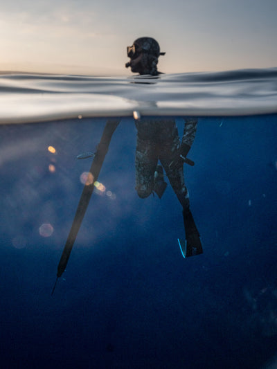 Beginner Freediving and Spearfishing Combo Course