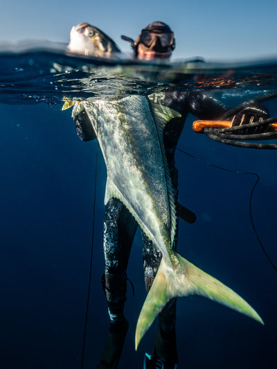 Beginner Freediving and Spearfishing Combo Course