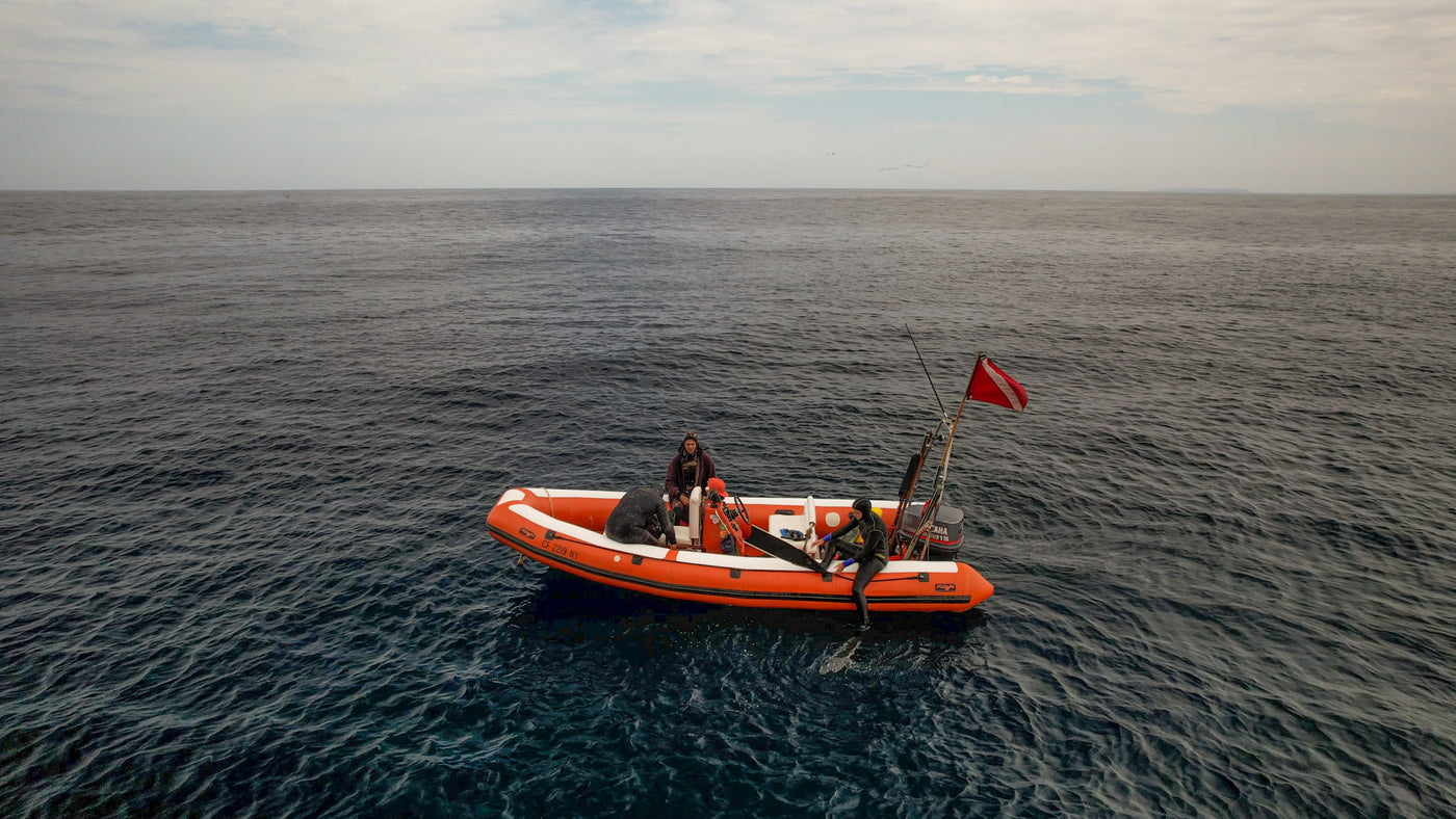 The RHIB - 4hr/6hr Local Dives