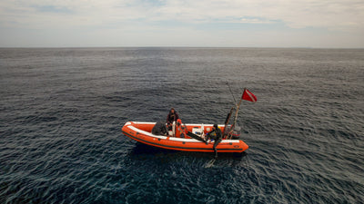 The RHIB - 4hr/6hr Local Dives