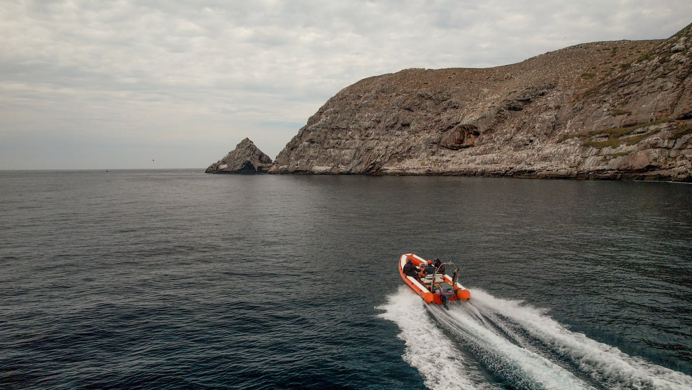 The RHIB - 4hr/6hr Local Dives