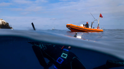 The RHIB - 4hr/6hr Local Dives