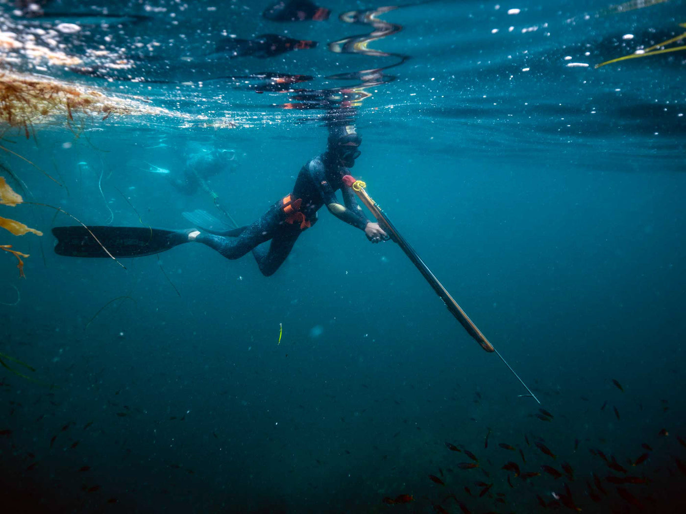 Beginner Freediving and Spearfishing Combo Course