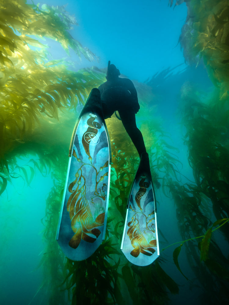 DiveR Freediving Blades