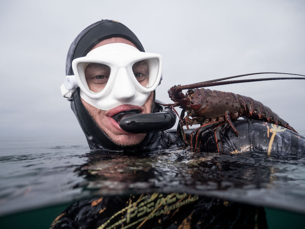 Lobster Charter – Just Get Wet