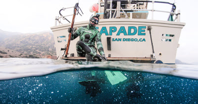 Coronado Islands Spearfishing Charter