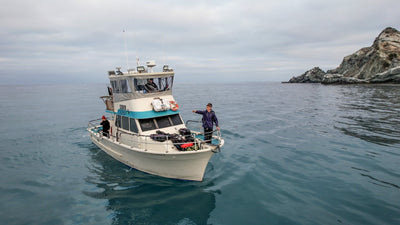Coronado Islands Spearfishing Charter