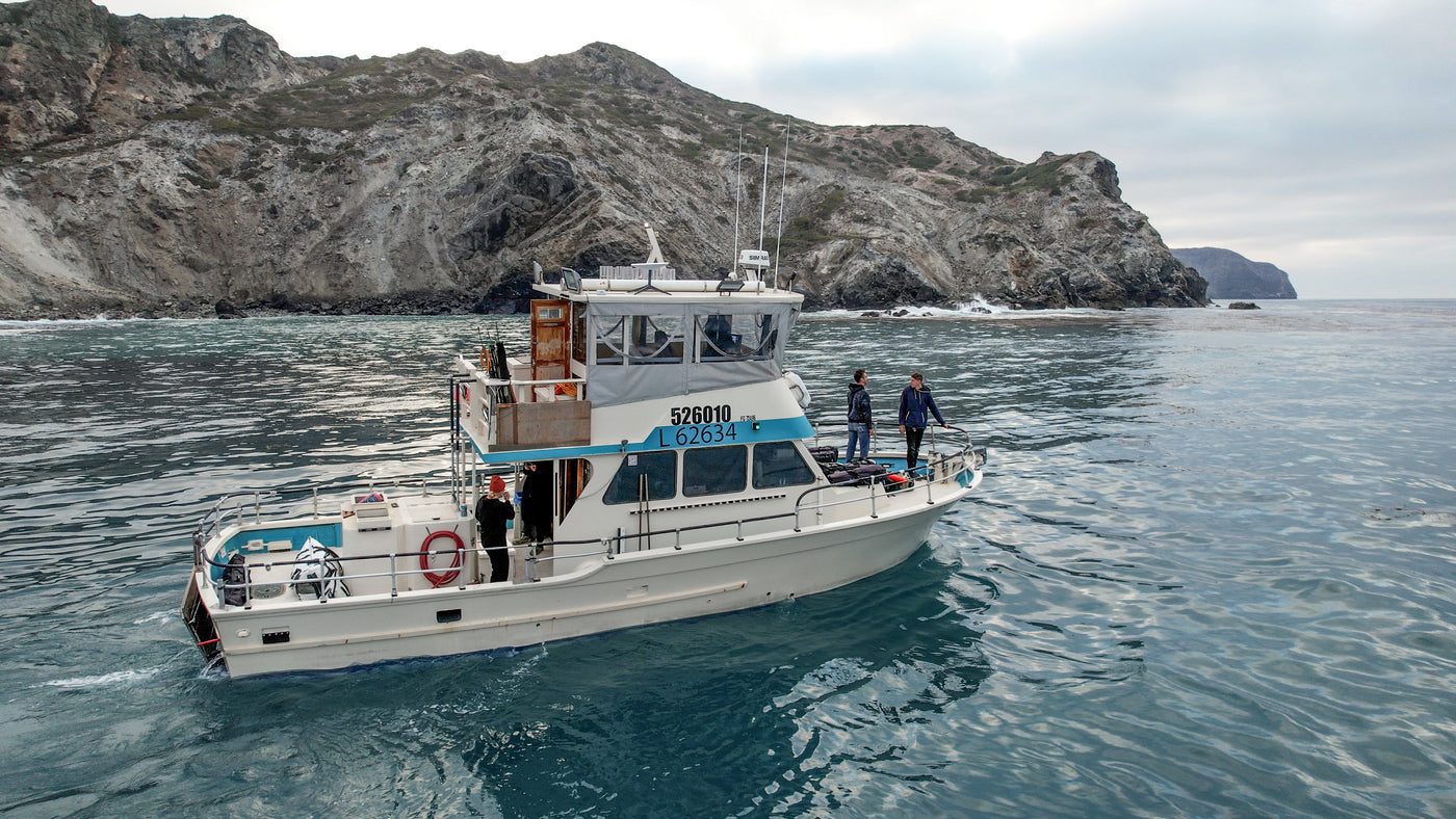 Half Day Spearfishing Charter