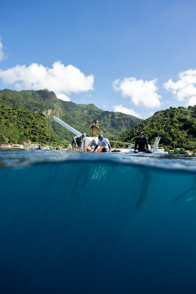 Dominica Sperm Whales, Freedive & Yoga Retreat - Just Added!