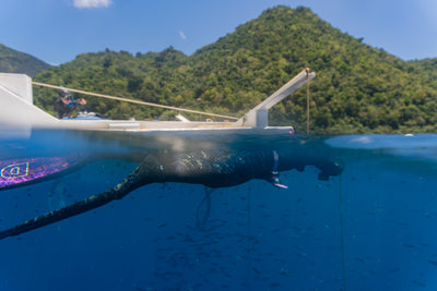Dominica Sperm Whales, Freedive & Yoga Retreat