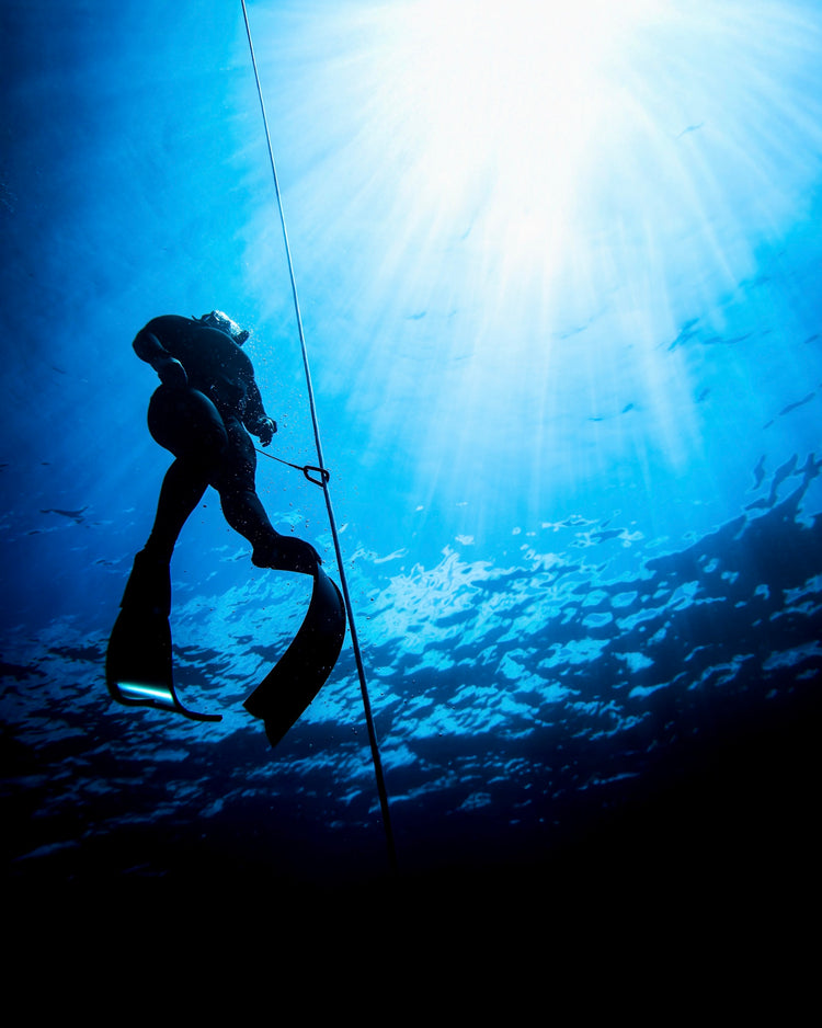 Depth Weekend: 2-Day Depth Training & Dry Workshop