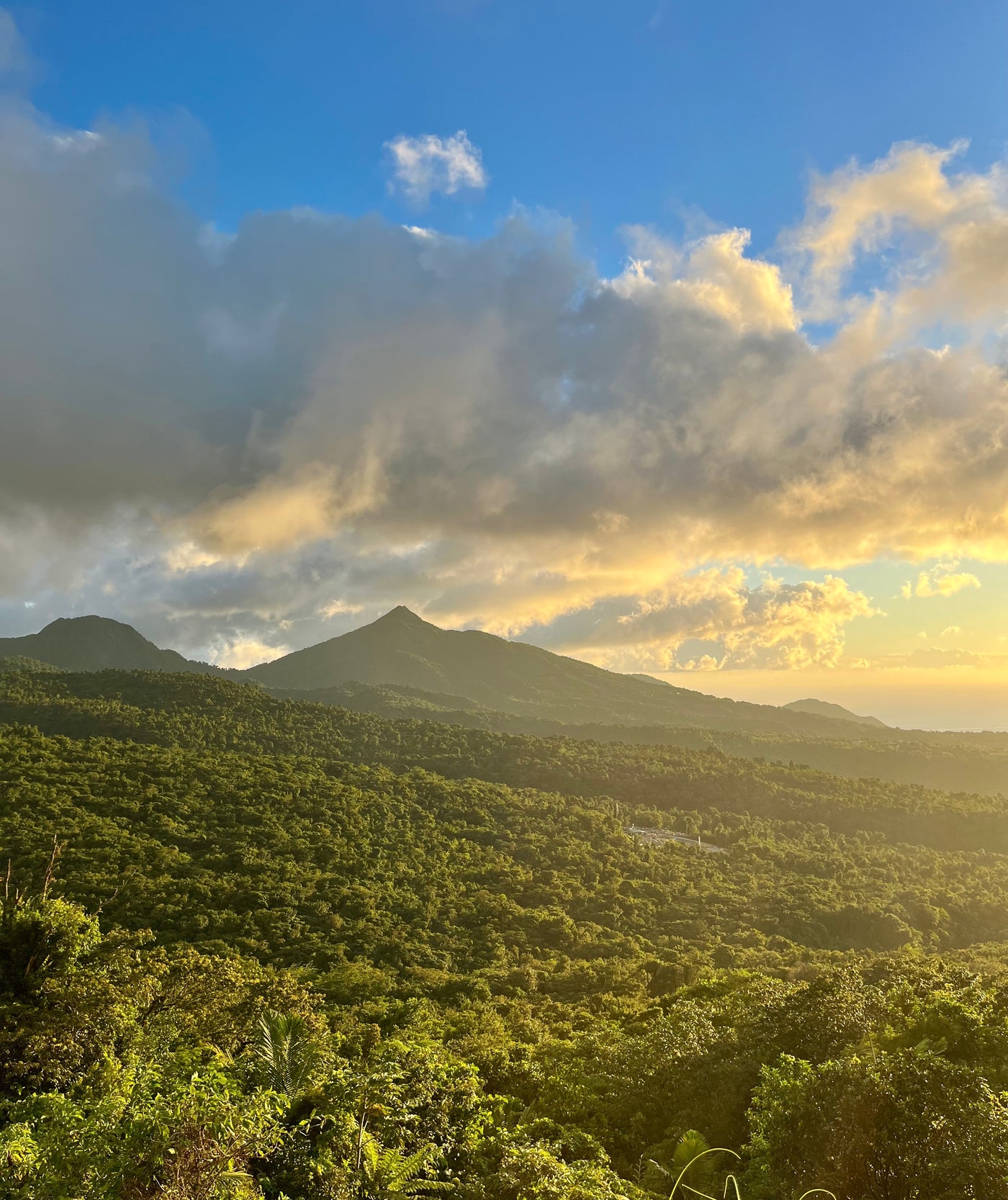 Dominica Sperm Whales, Freedive & Yoga Retreat - Just Added!