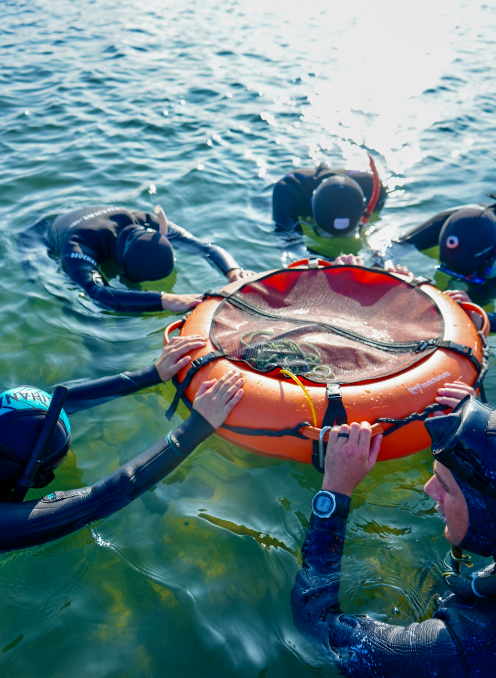 Discover Freediving Tour