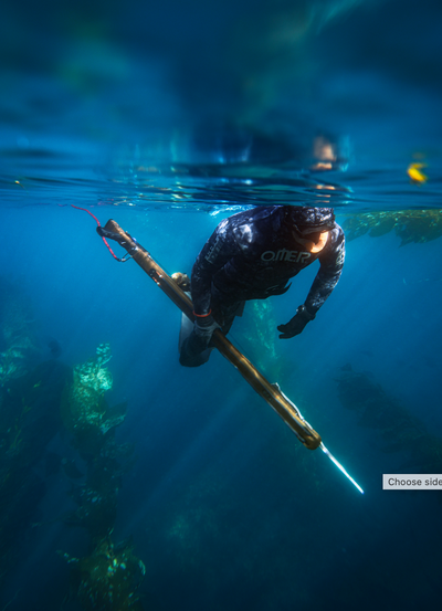 Beginner Freediving and Spearfishing Combo Course