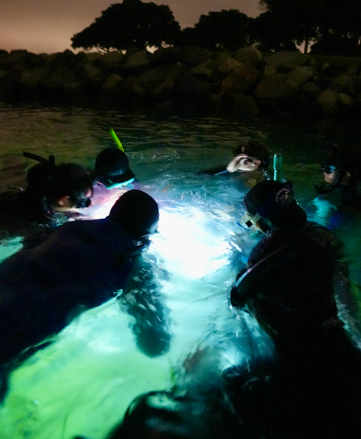 Aquatic Adventure Club!