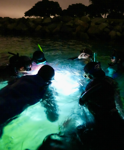 Aquatic Adventure Club!