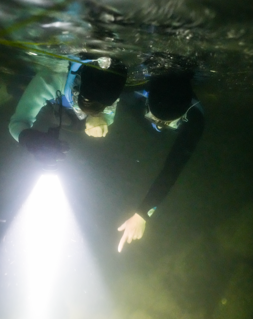 Aquatic Adventure Club!