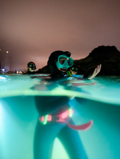 Aquatic Adventure Club!