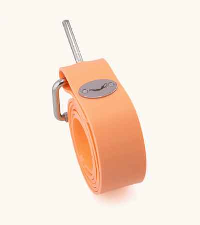 Bright Buoy Weightbelts