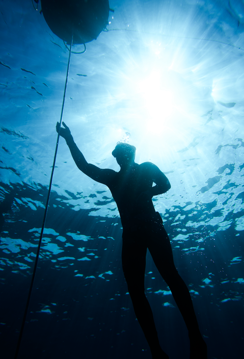 Group Line Diving Sessions