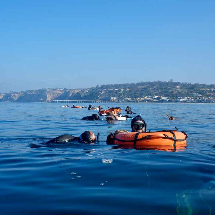 Group Line Diving Sessions