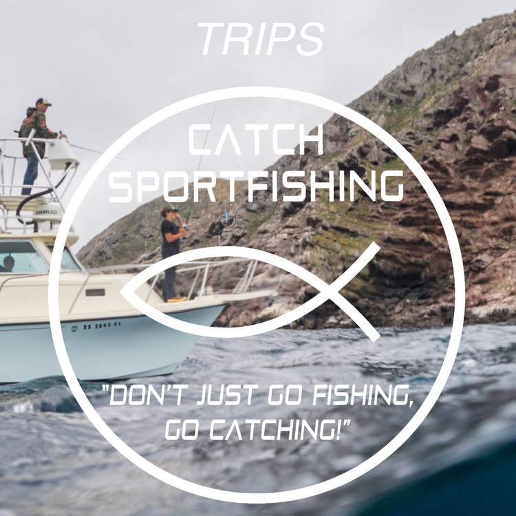 Catch Sportfishing - Day Charters