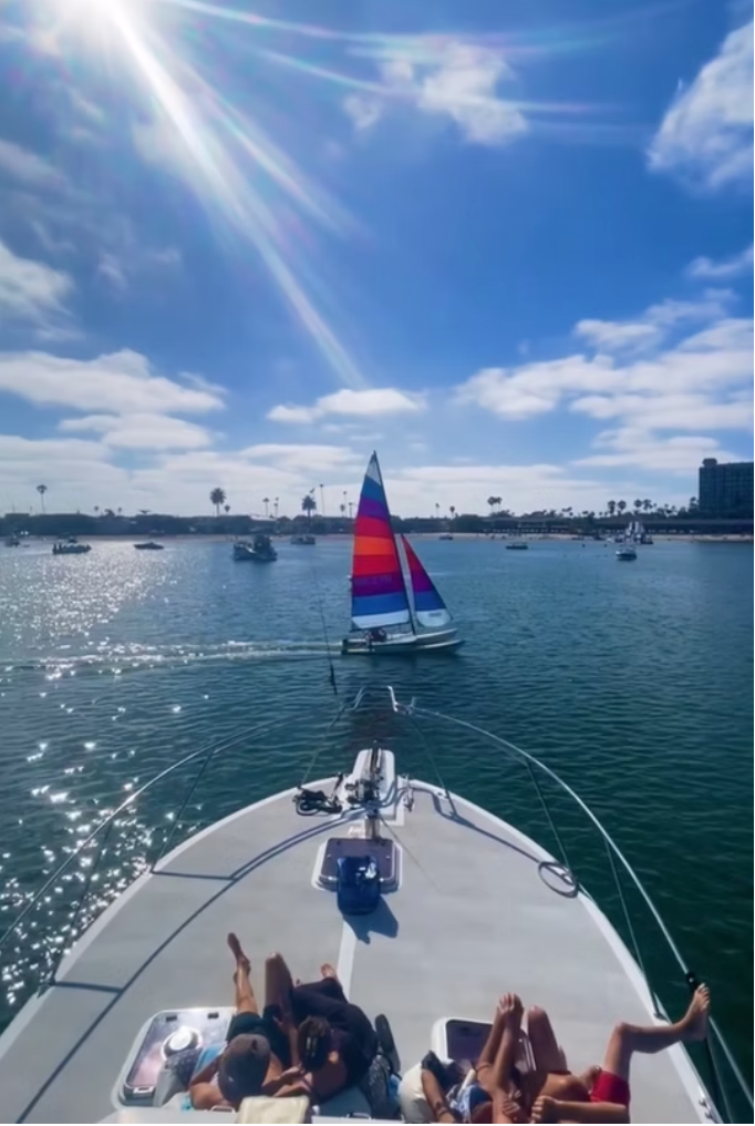 SD Bluebill - Rod & Reel, Cruises, Whale Watching