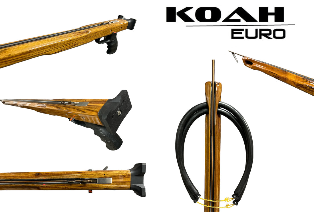 KOAH EURO