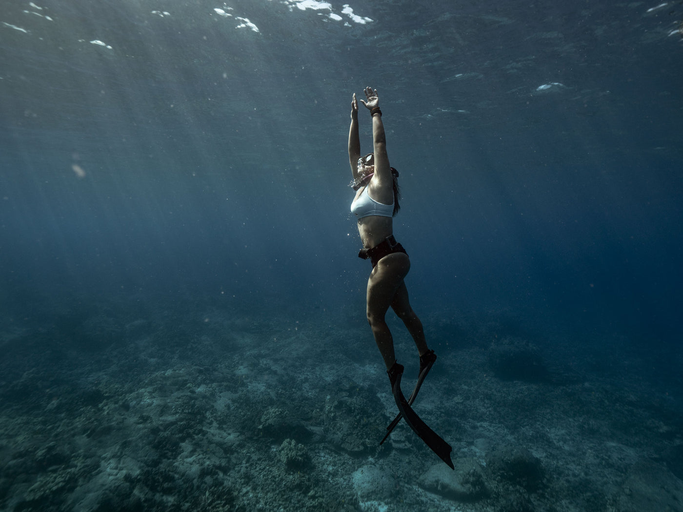Discover Freediving