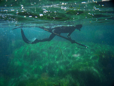 Discover Spearfishing Tour