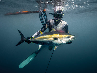 Offshore Full Day Spearfishing Charter-Private