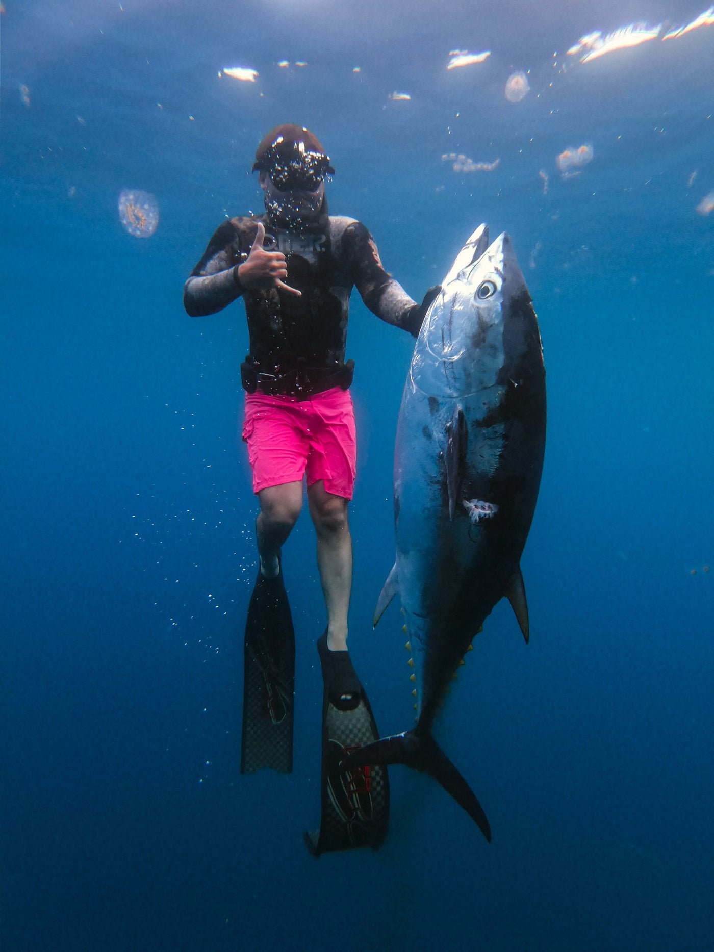 Multi Day Offshore Spearfishing Trip (2.5 days)