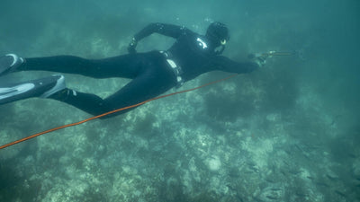 Discover Spearfishing Tour