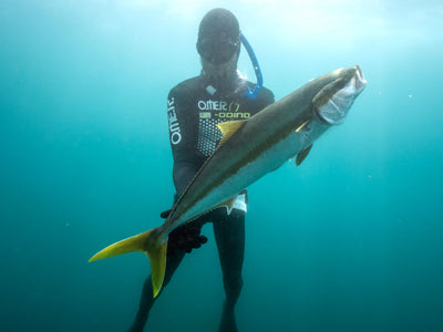 Local 4 Hour Spearfishing Charter