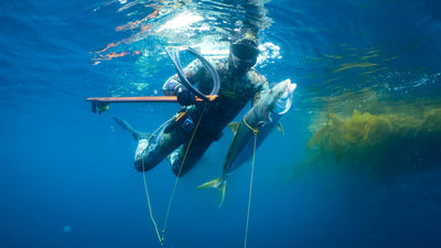 Offshore Full Day Private Spearfishing Charter
