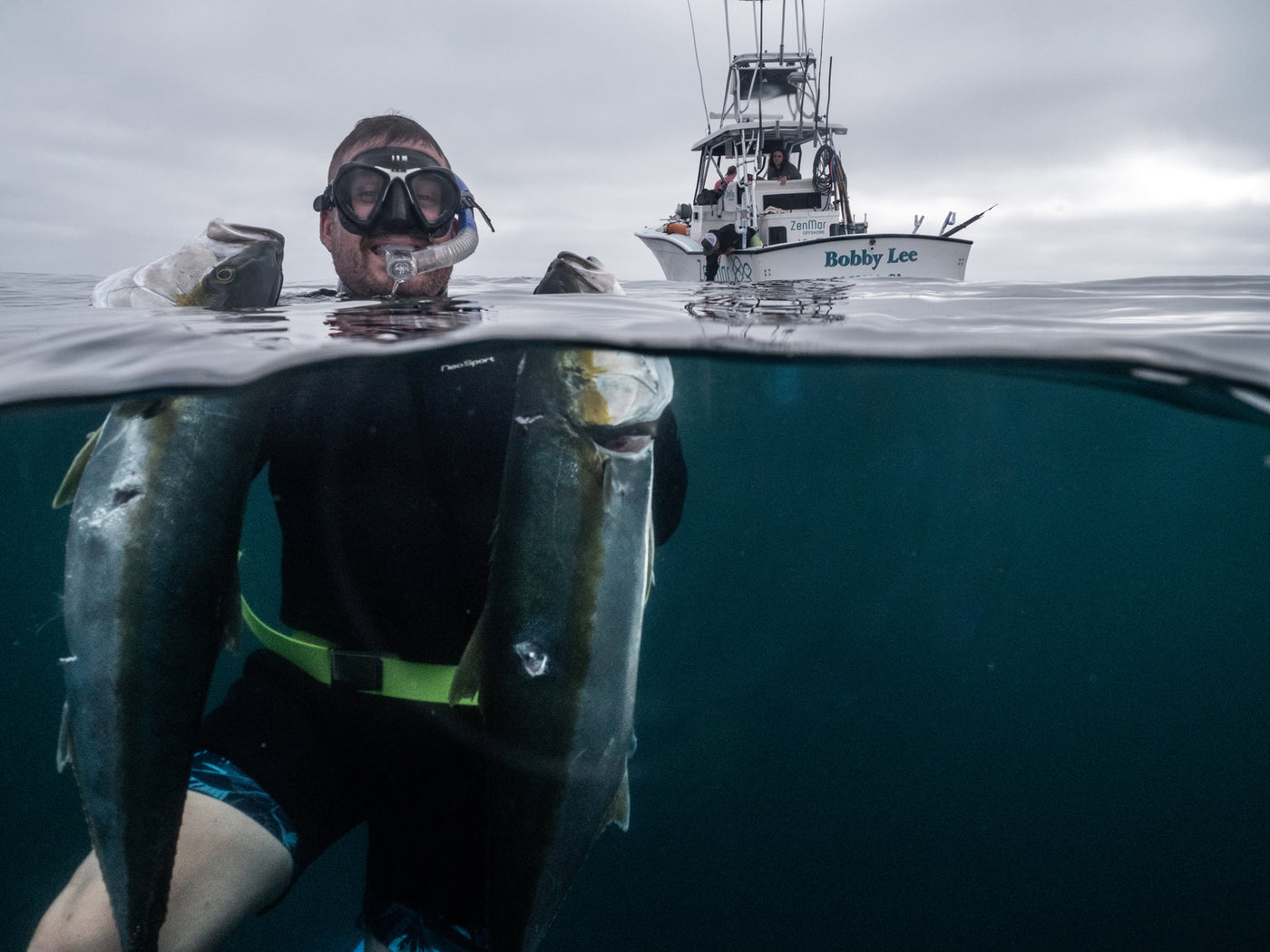 Coronado Islands Spearfishing Charter-Private