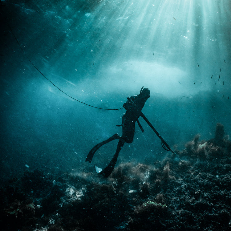Beginner Spearfishing Course