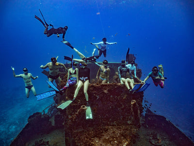 Cenotes Freediving Retreat - February 2026