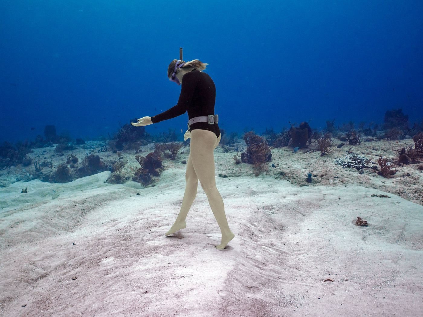 Cenotes Freediving Retreat - February 2026