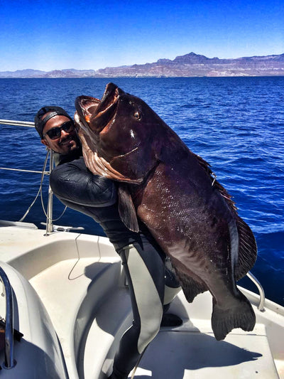 Sea of Cortez Liveaboard Spearfishing Trip May 2023