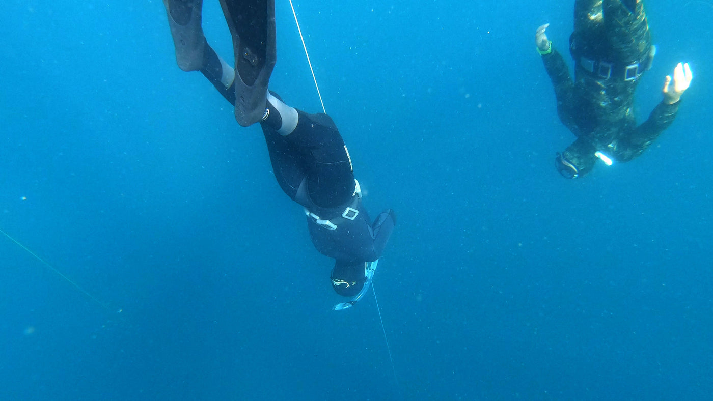 Intermediate Freediving Crossover