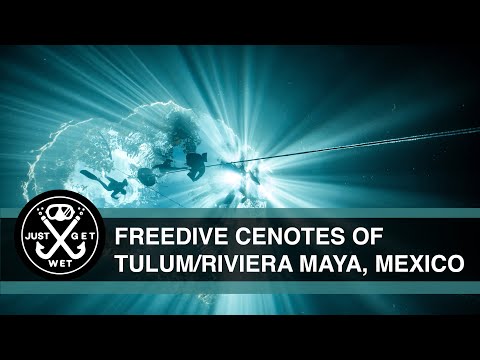 Cenotes Freediving Retreat - February 2026